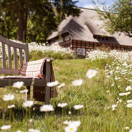 Park Am See X Nattika Ayurveda, Hotel Health Spirit Penzlin Luaran gambar