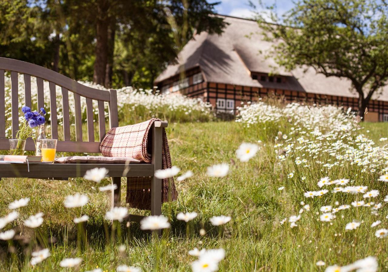 Park Am See X Nattika Ayurveda, Hotel Health Spirit Penzlin Luaran gambar