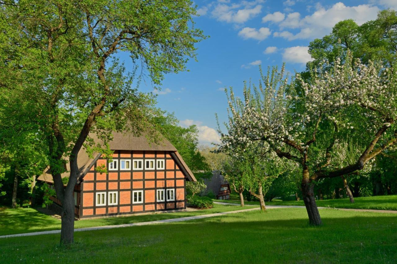 Park Am See X Nattika Ayurveda, Hotel Health Spirit Penzlin Luaran gambar