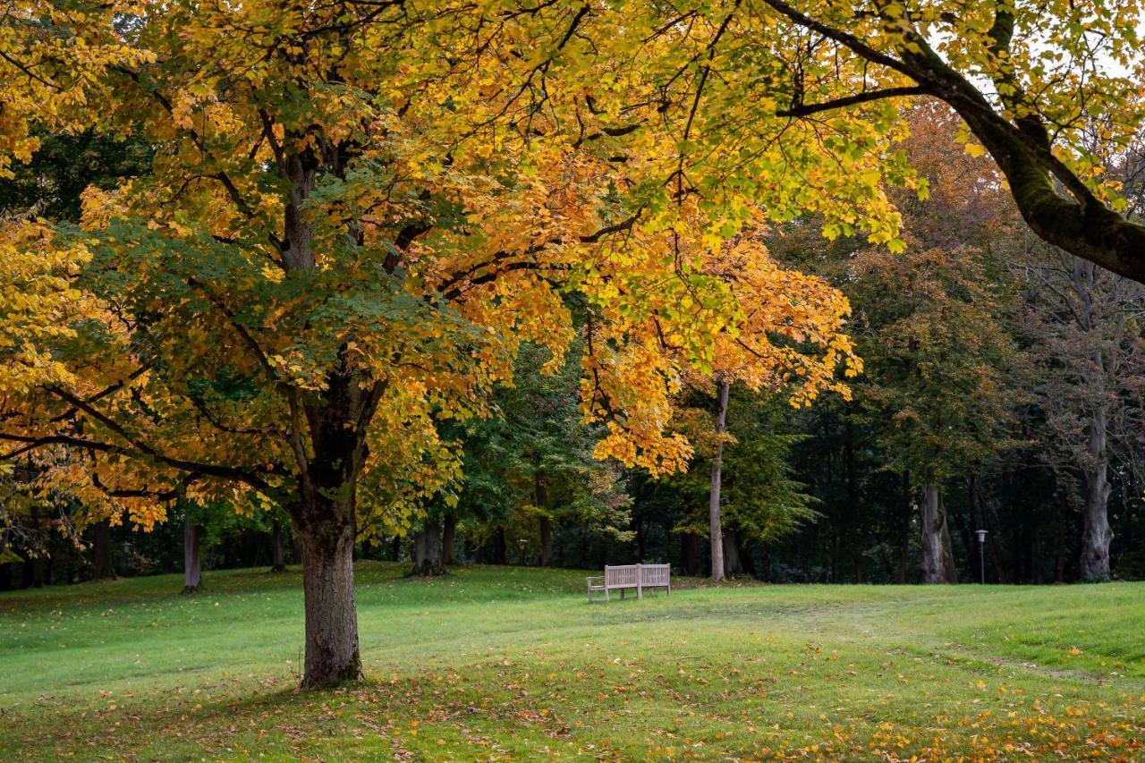 Park Am See X Nattika Ayurveda, Hotel Health Spirit Penzlin Luaran gambar